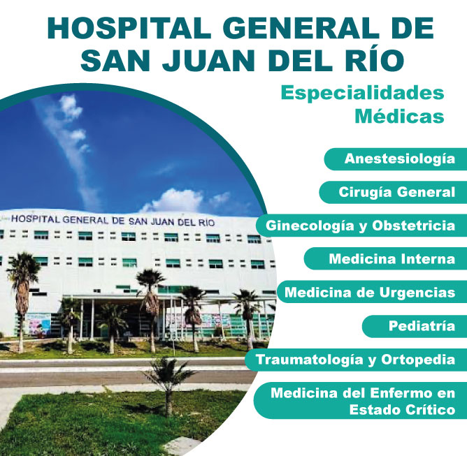 infografia3