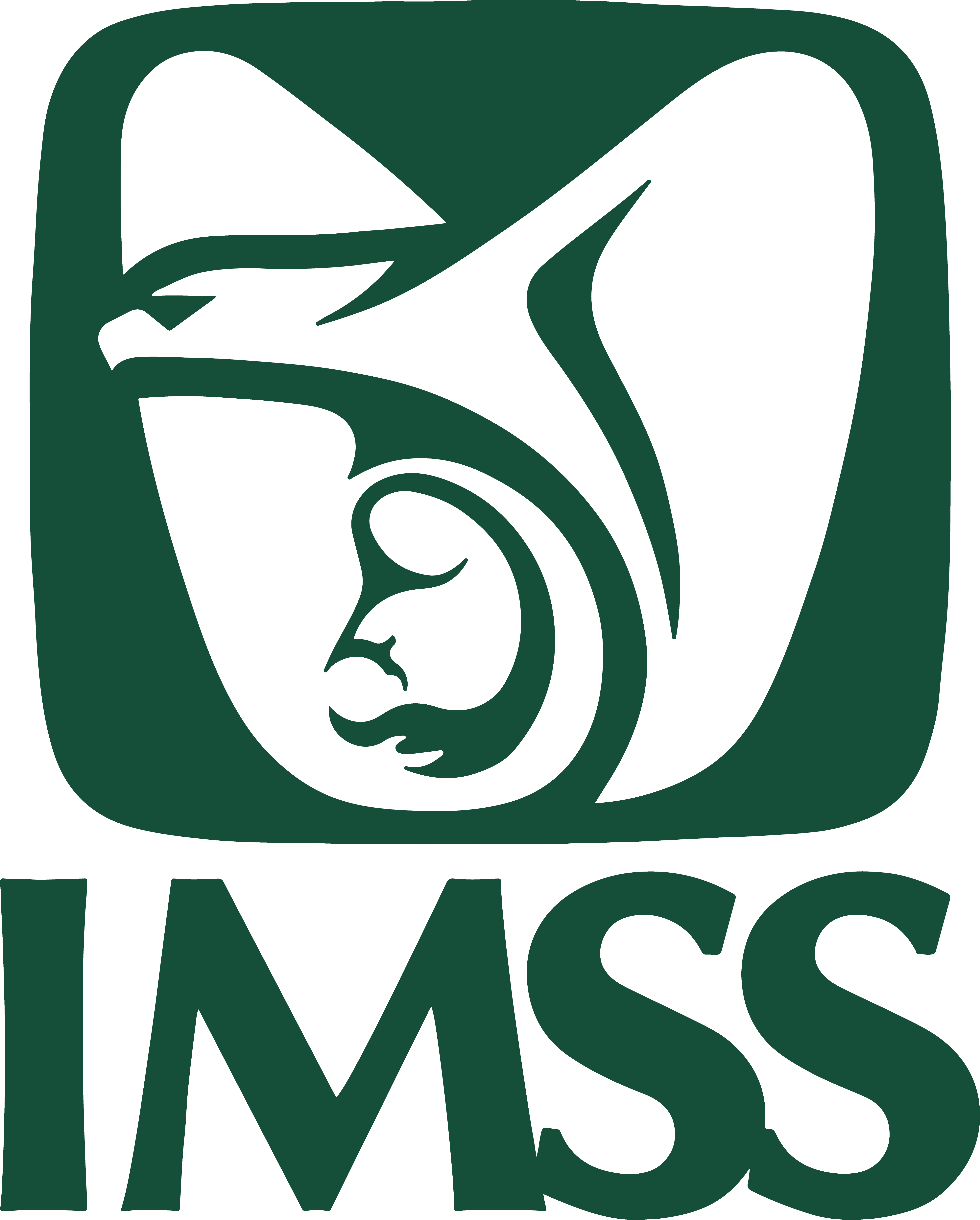 Logo imss